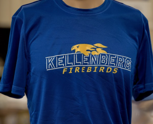 Adidas DriFit Firebirds Tee